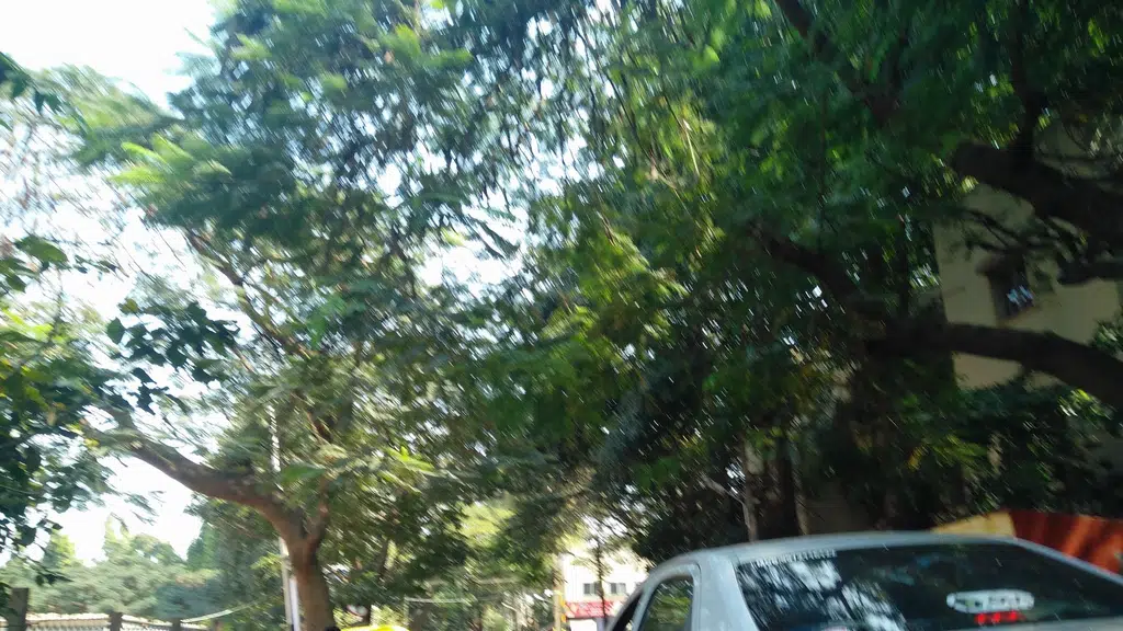 Vijaya Nagar Public Ground
