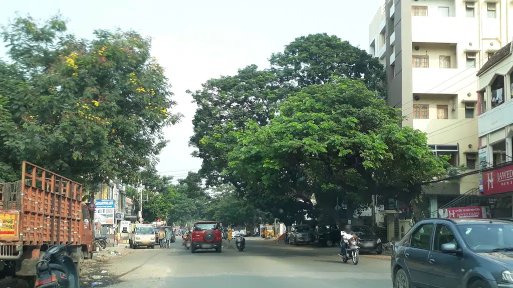 S G Sanitation