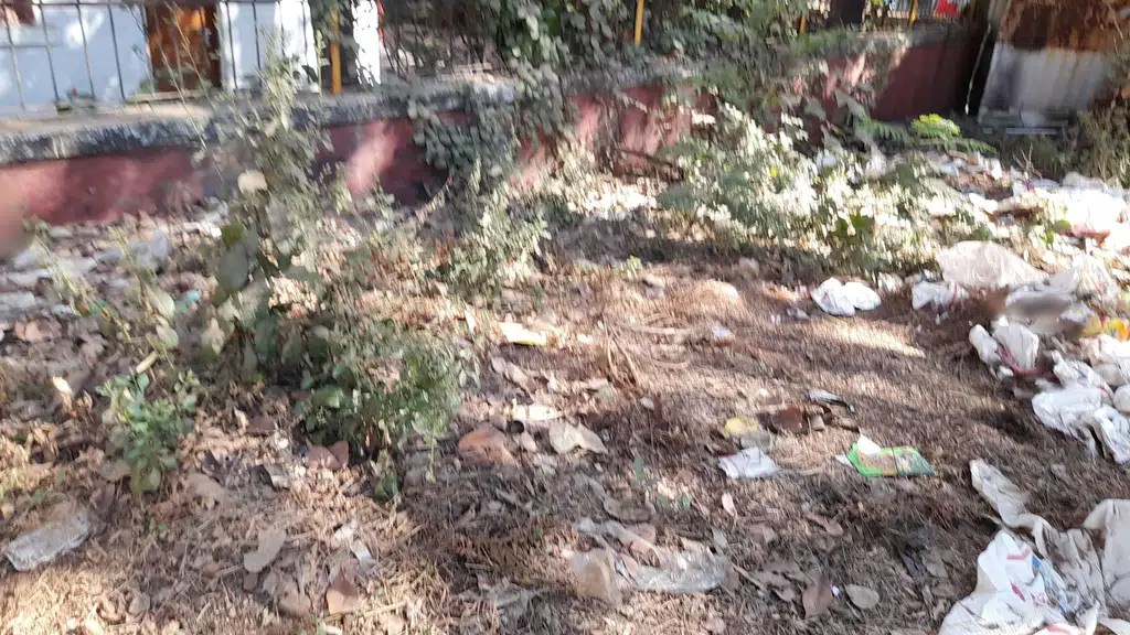 Ravindra Bharati College