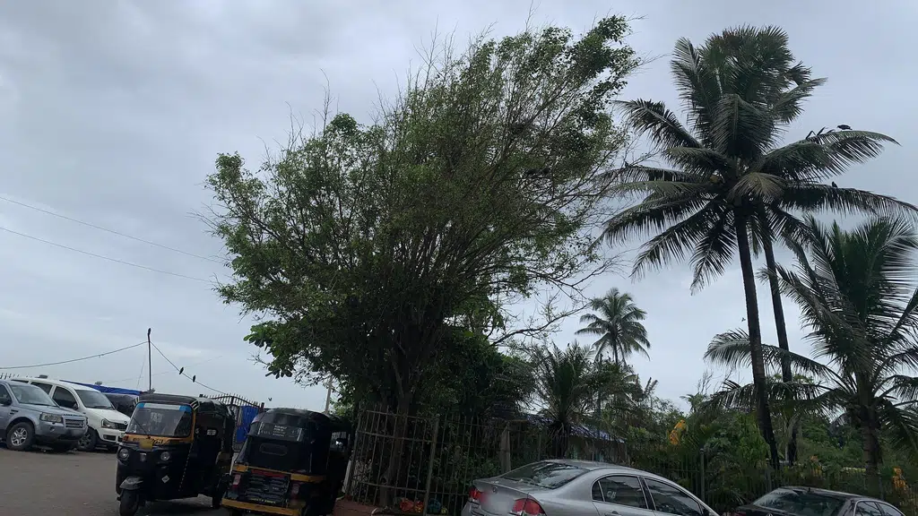Chimbai Chawl