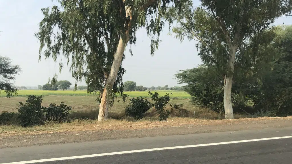 Motel Gangaur
