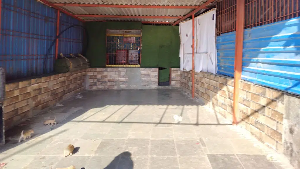 Wonderland Playschool & Nursery