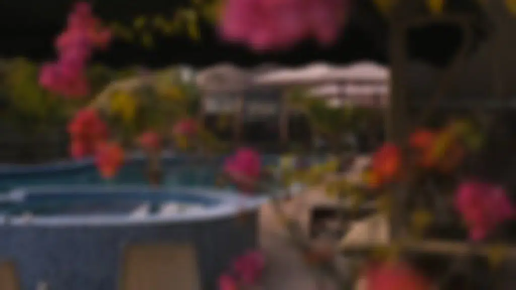 The Vedam Resort