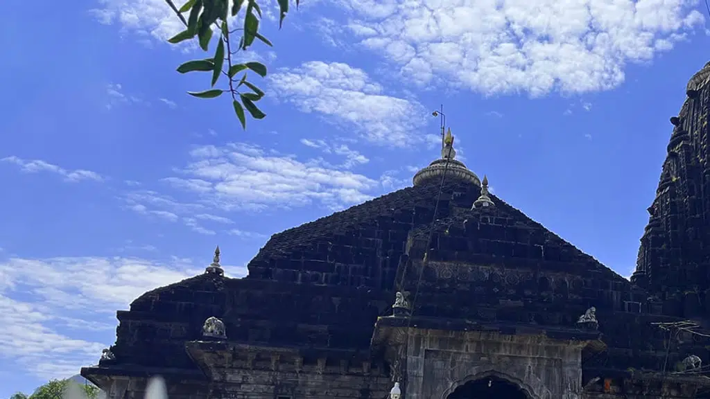 Pitra Dosh Nivaran | Narayan Nagbali Puja | Trimbakeshwar Pooja Pandit