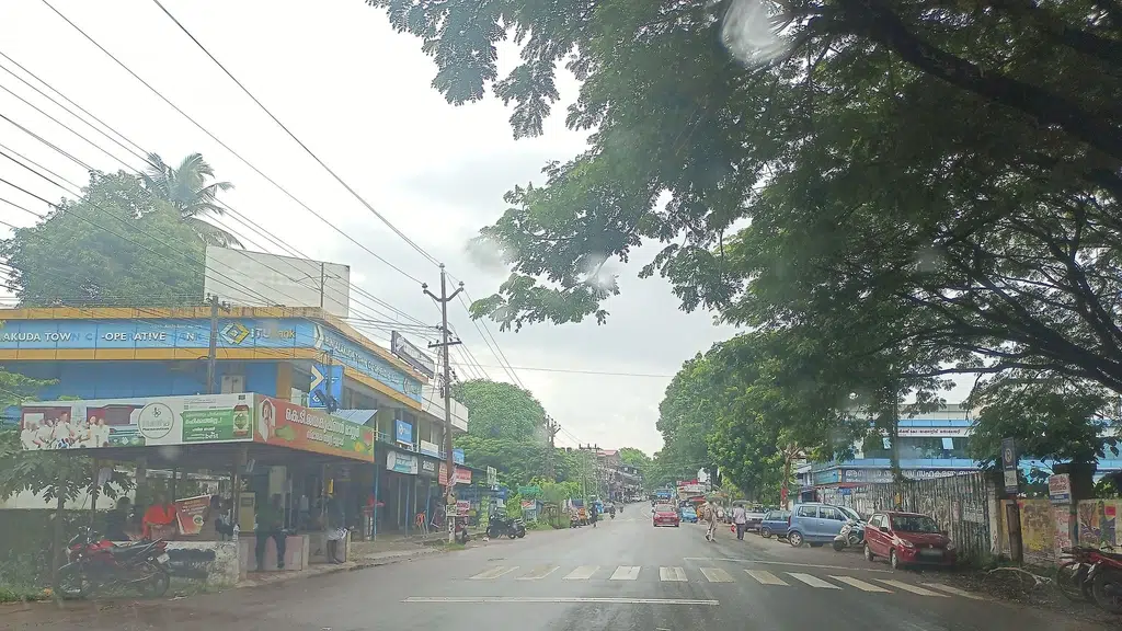 Kottakkal Arya Vaidya Sala