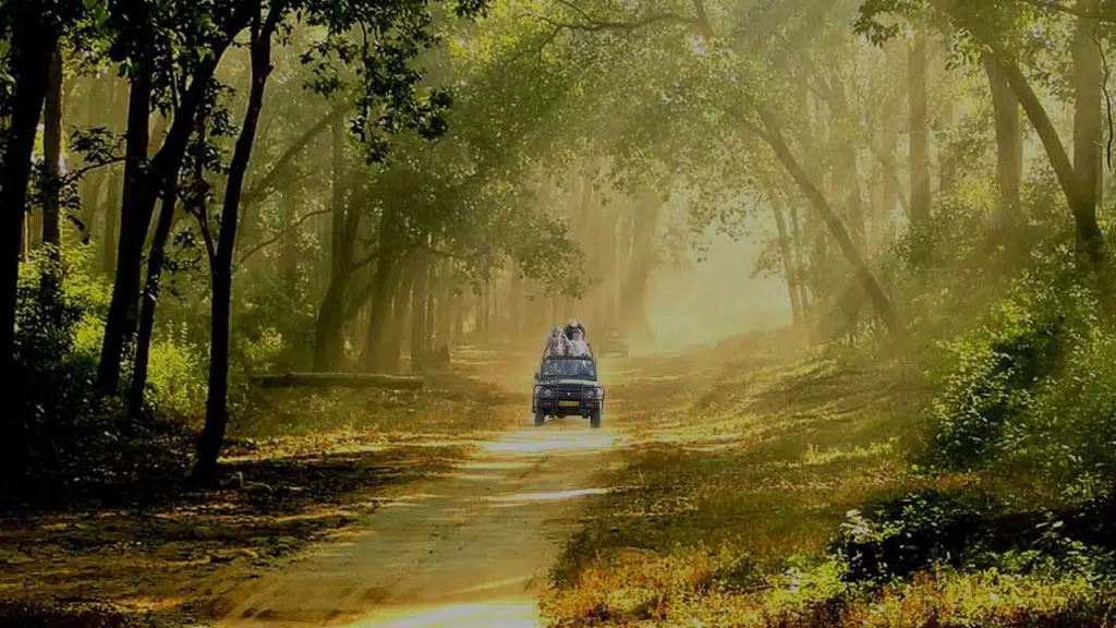 Corbett Resorts