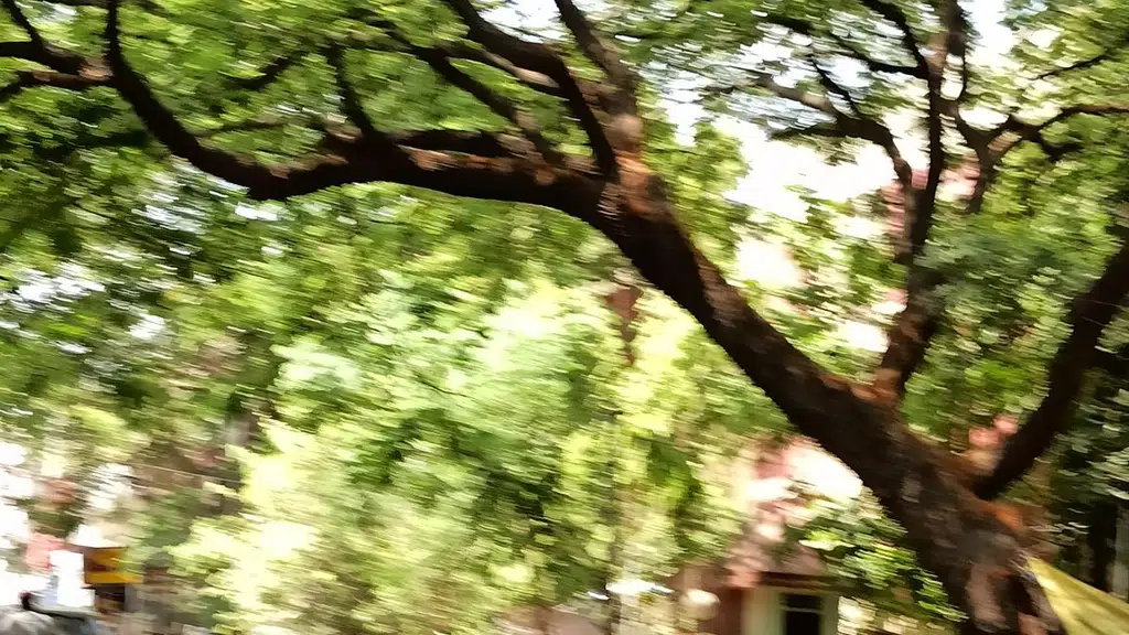 Swarna Complex