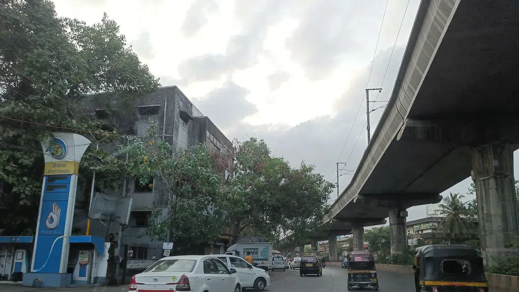Lucky Sandwiches