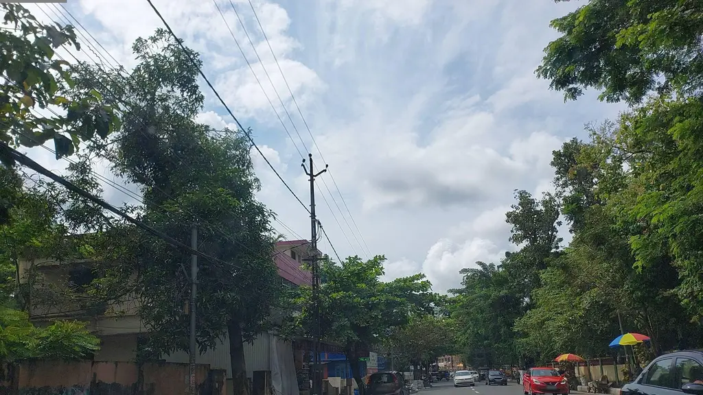 Domino's Pizza | Aluva West Village, Kerala