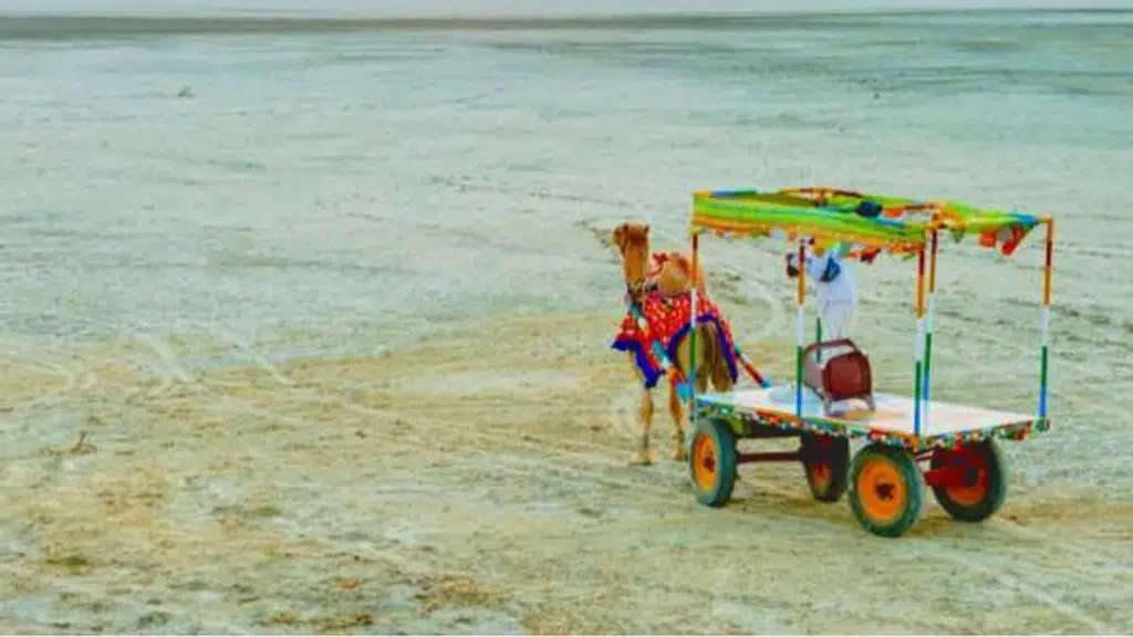 Sumit Tours & Travels