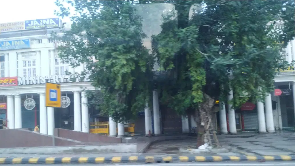 The Calcutta Consultancy Services