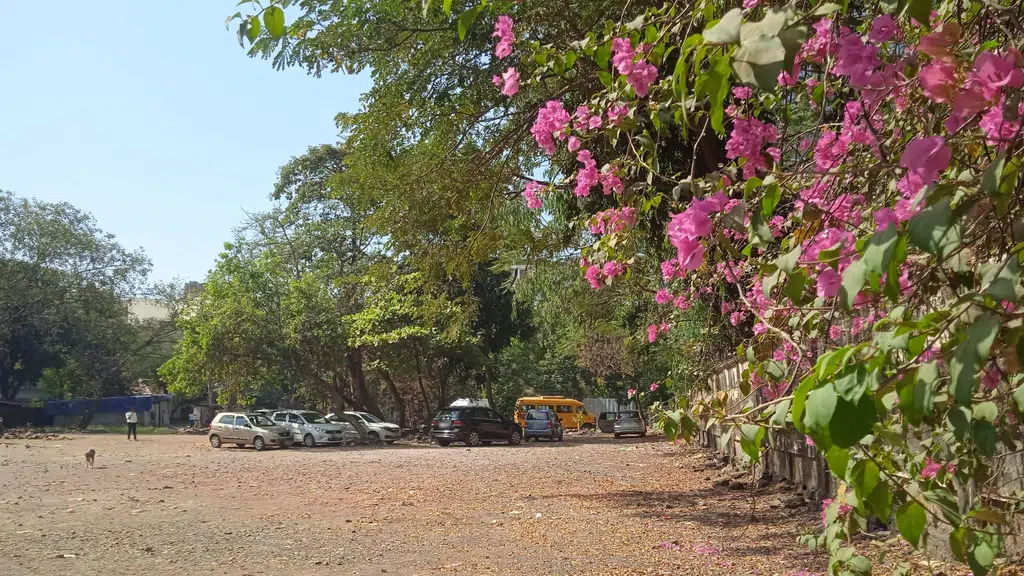 Somaiya Diagnostic Centre