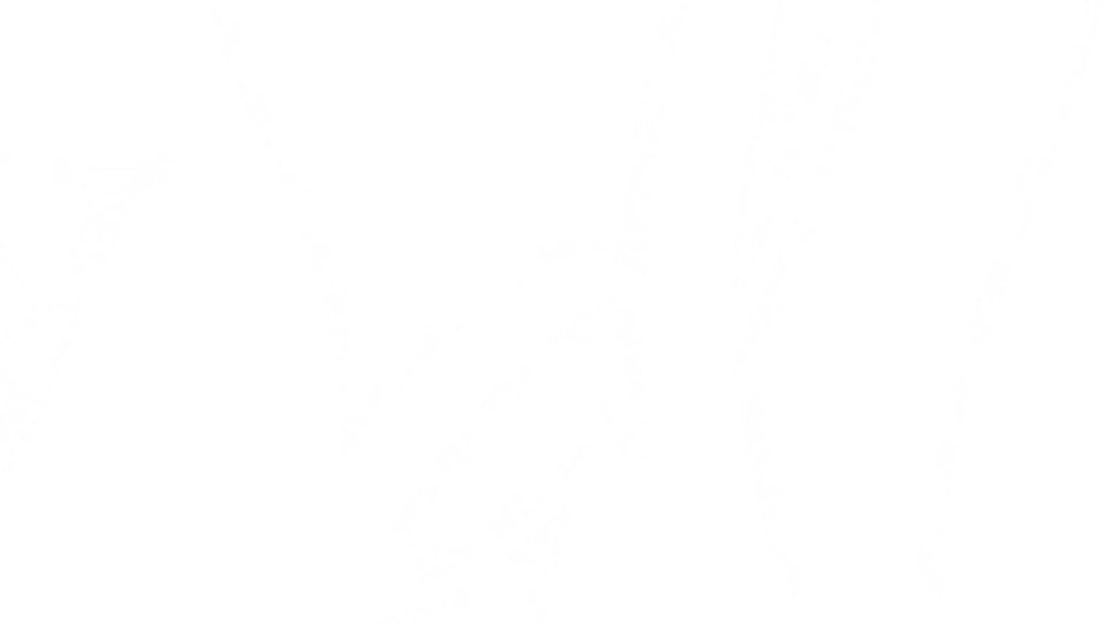 Dentartistry