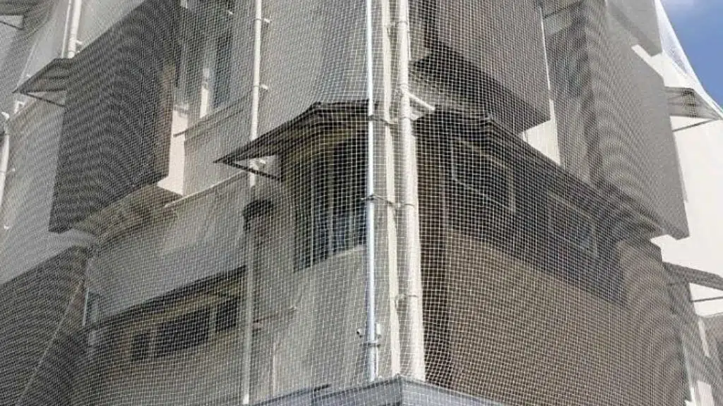 Andhra Pradesh Safety Nets