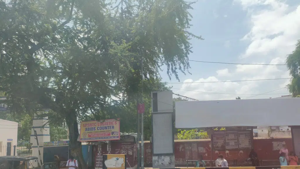 Mandi Manzil Multi Cuisine Restaurant
