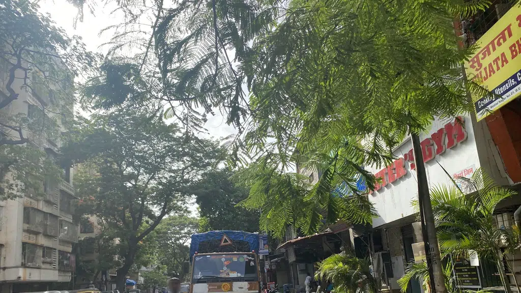LCC Love from Chandni Chowk
