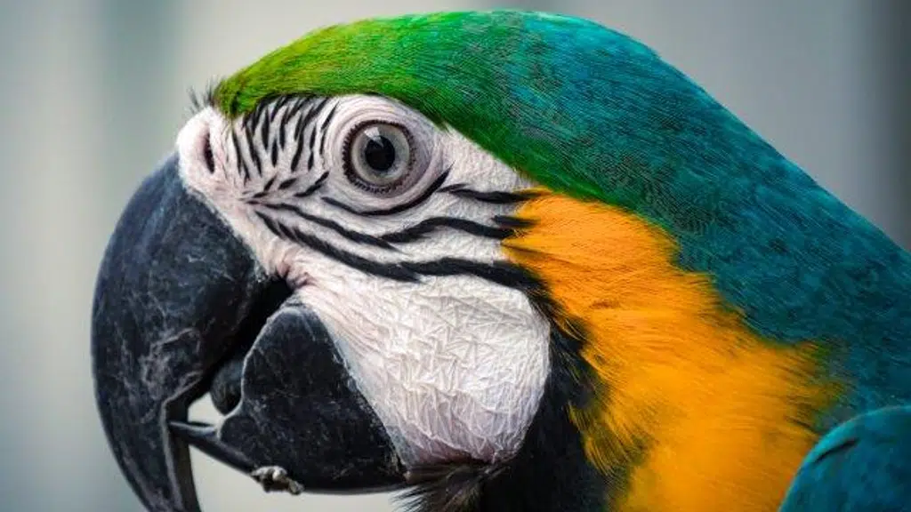 A 2 Z Exotic Park & Restaurants
