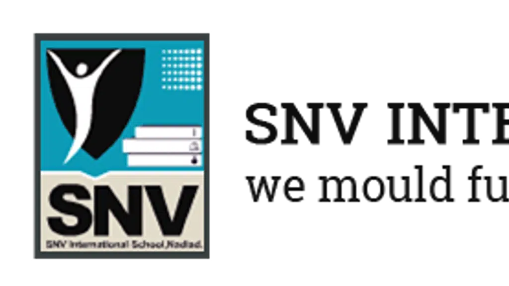 SNV International School