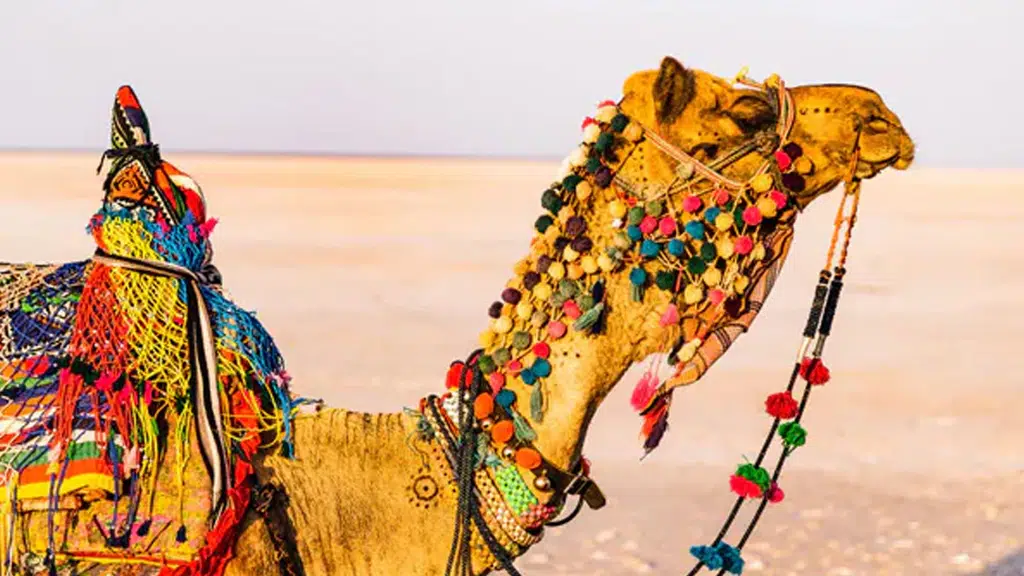 Rann Utsav