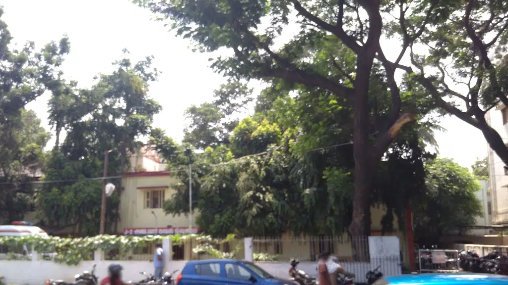 Pazhamudhir Cholai Cool Bar