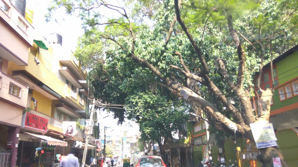 malenadu Cafe
