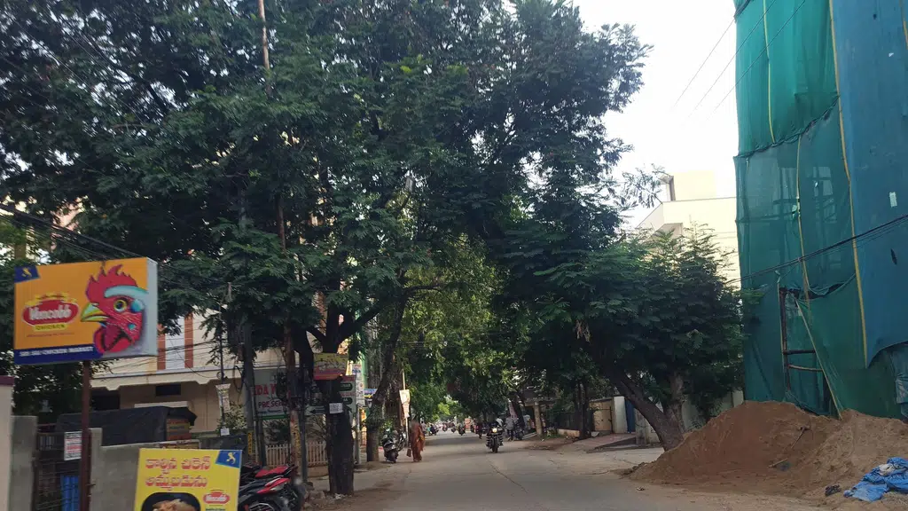 Sri Kaveri Pantanjali