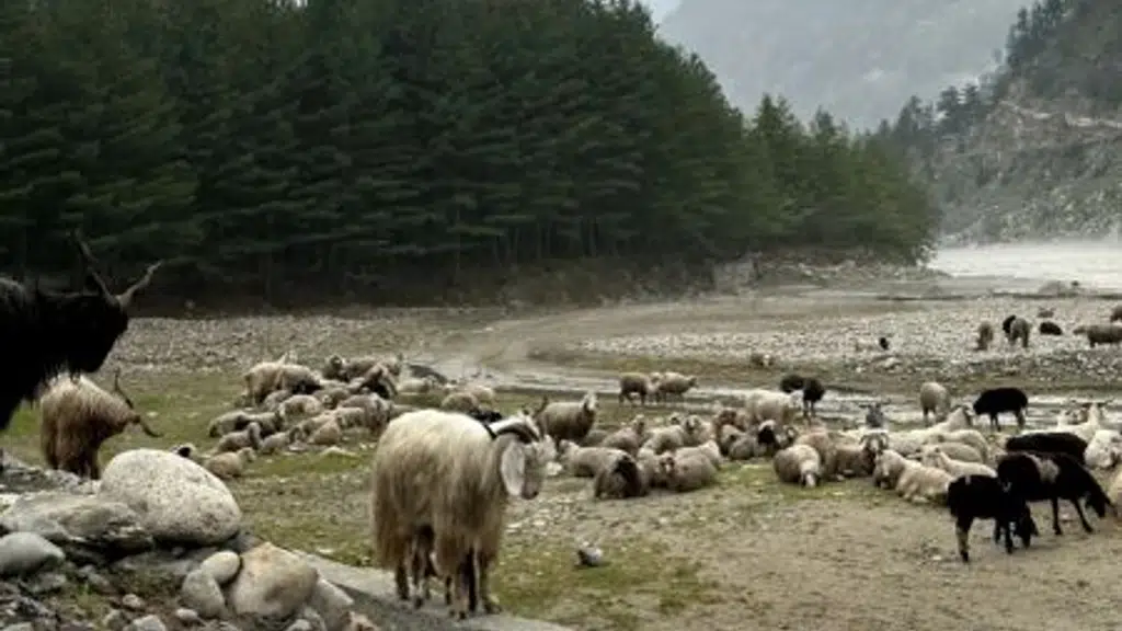 Harshil valley - mini Switzerland