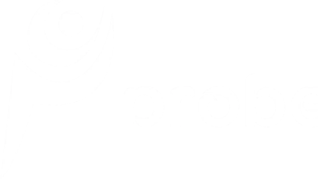Probey Services Private Limited