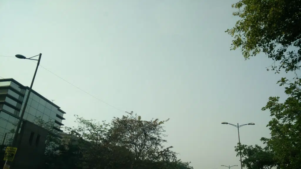 Express Windshield