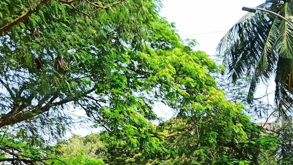Sarvodaya Nano Finance