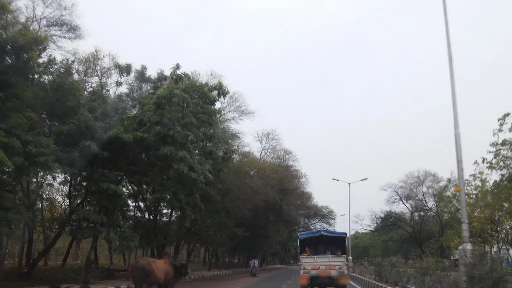 Gujarat Gas CNG station