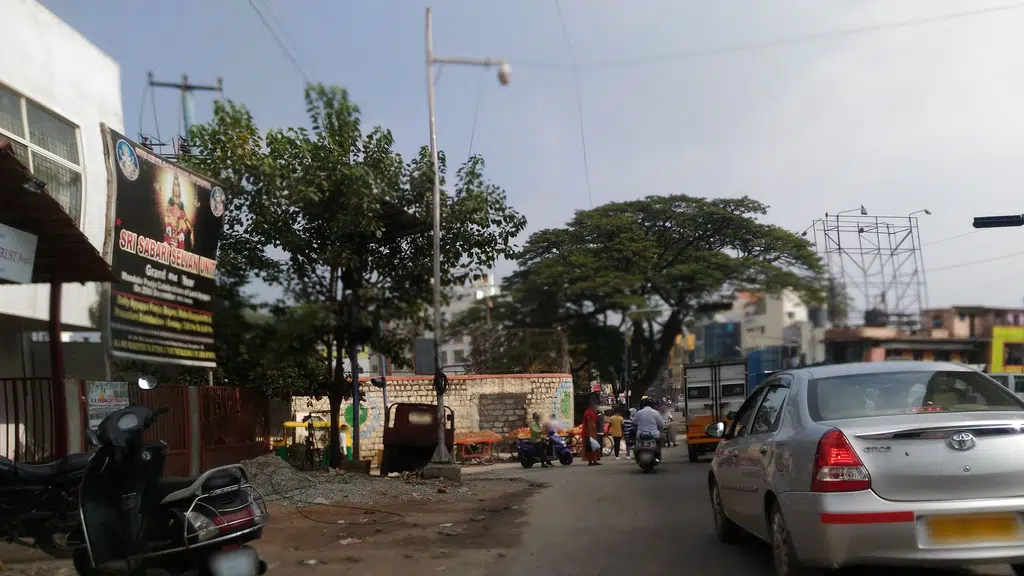 Bombay Cotton Sale