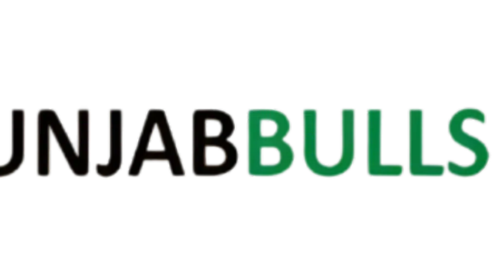 Punjabbulls Technology Pvt Ltd - Chandigarh