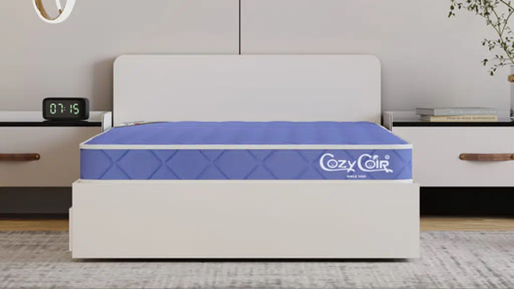 Cozycoir Mattresses