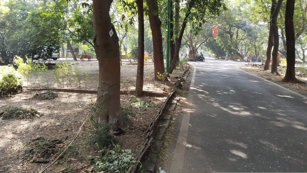 University of Mumbai