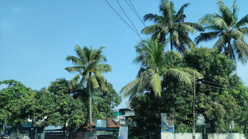 Niyanest HomeStay