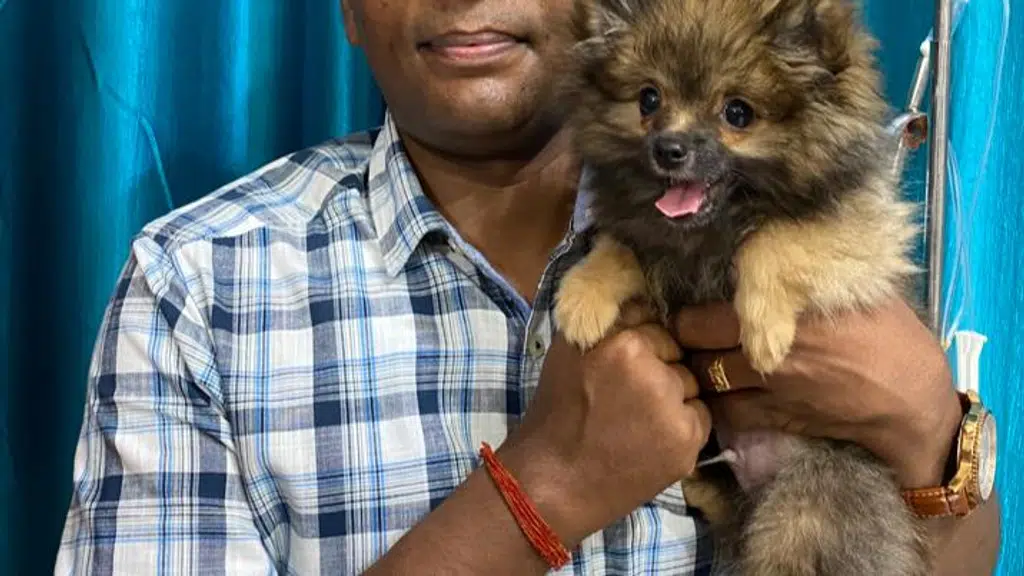 Abs Pet Care