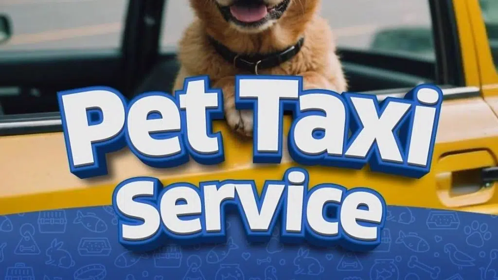 Pet-Taxi