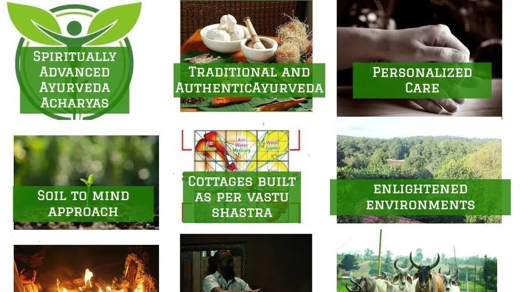 Ayurveda Yoga Village