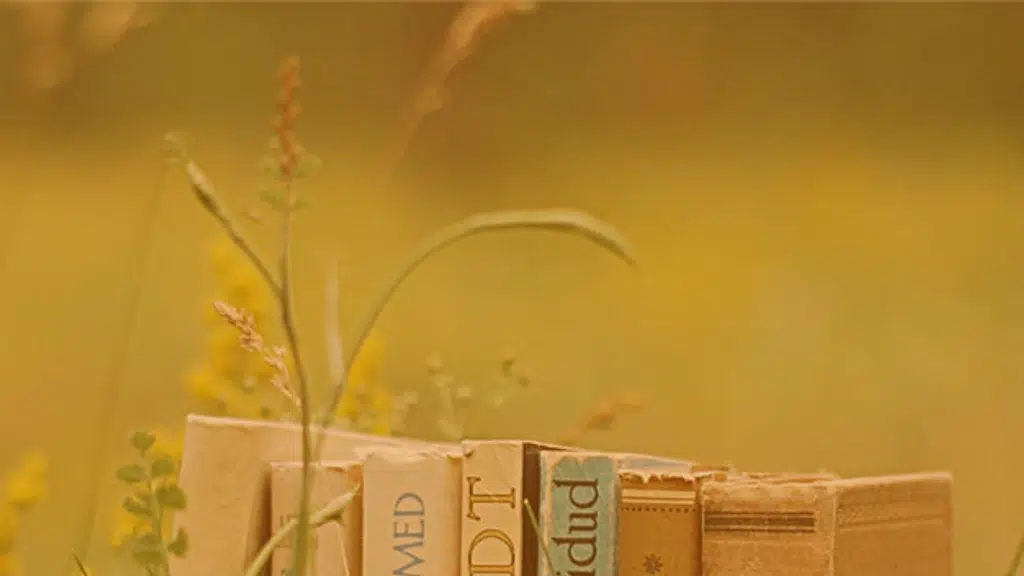 Zorba Books
