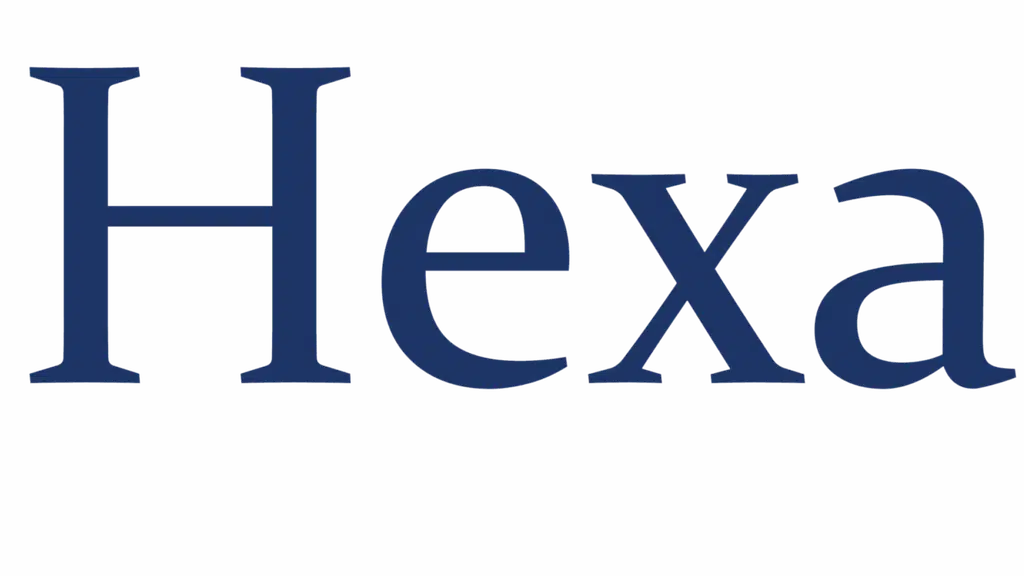 HexaCorp Technical Services Private Limited - Leading Technology Solutions and Services Company