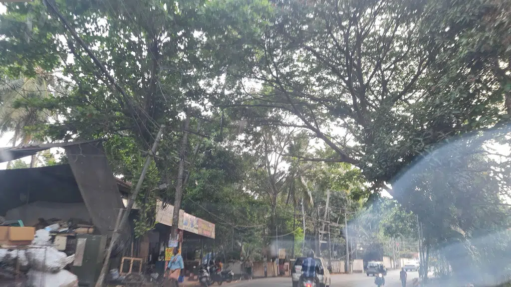 Popular Vehicles & Services Limited (Pachakkil)