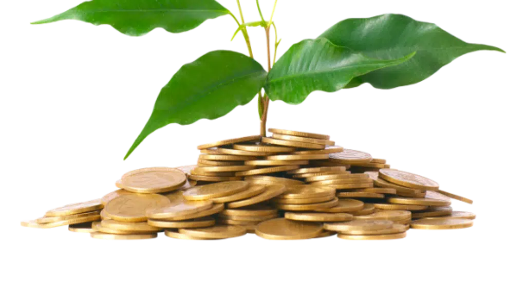 India Shelter Home Loans | Easy Home Loans in Bengaluru