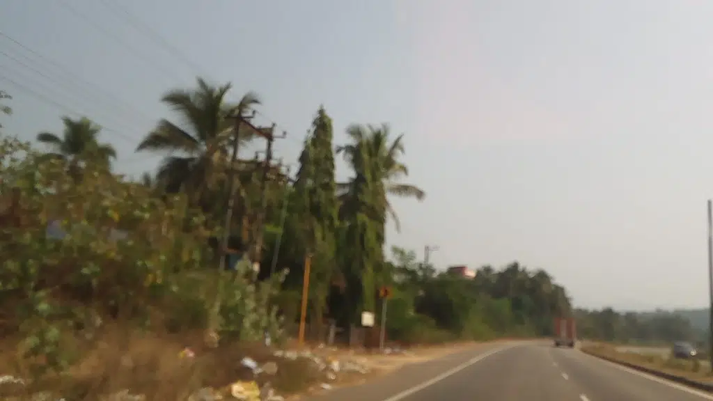 Paseo Veg and Non Veg Garden