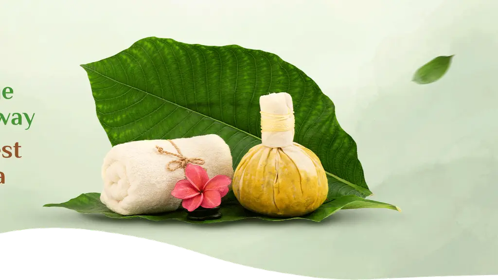 Punarnava Bamboo Lagoon Ayurveda Village
