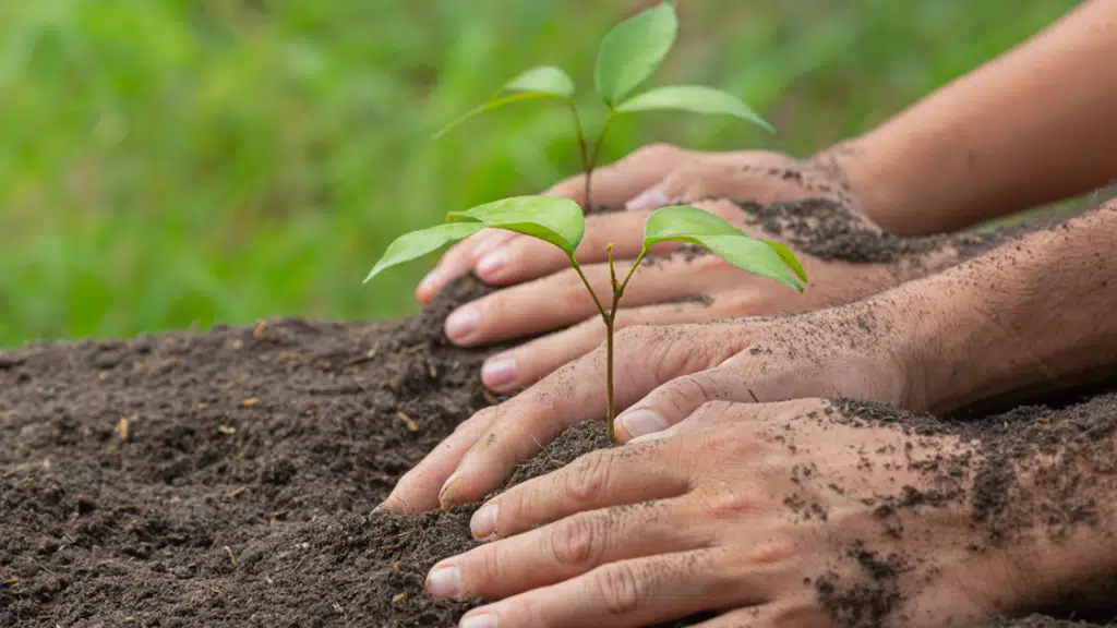 Shivajna Foundation | Planting Trees, Conserving Environment & Heritage sites