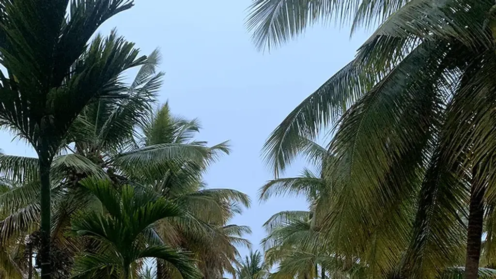 Thumbe Goodu Resort