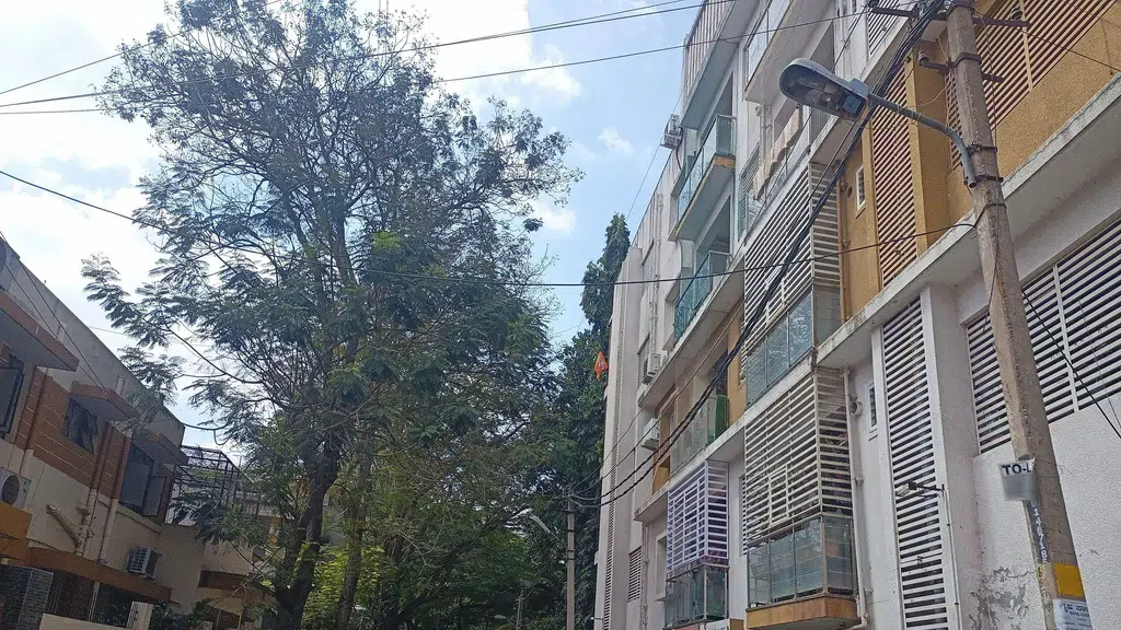 Swagath Poornima Cinema