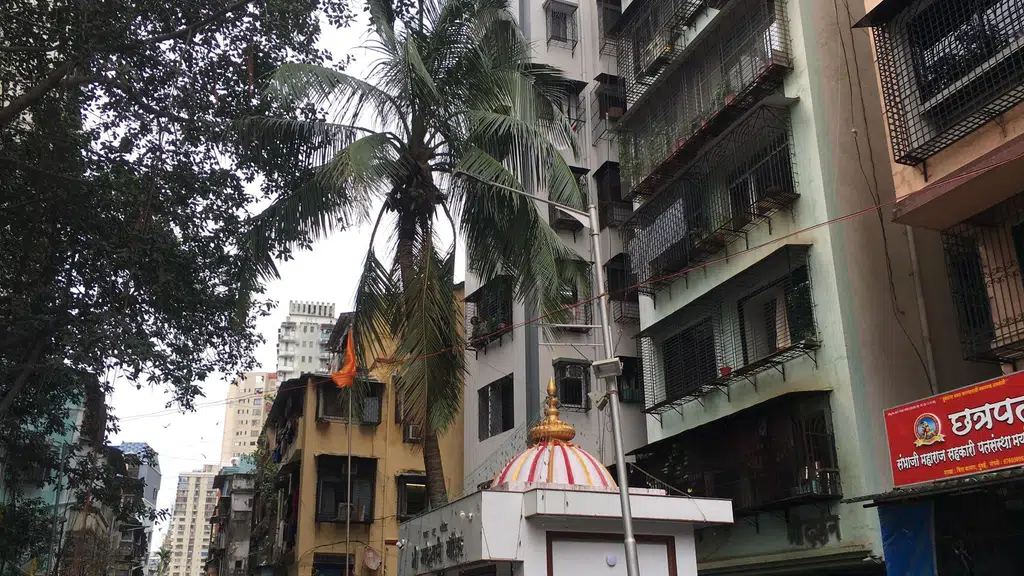 Lassi Shop
