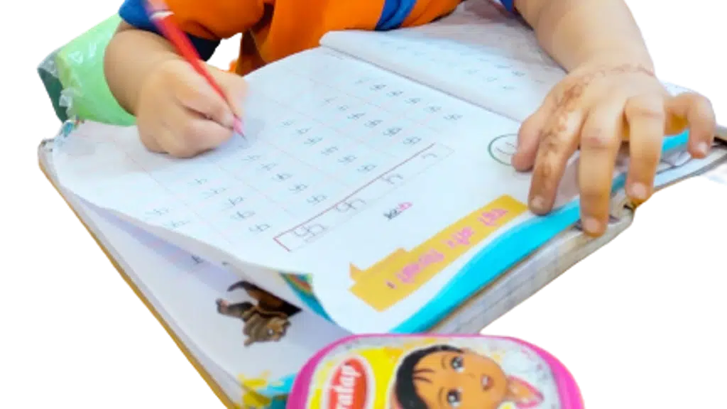 Pioneers International School